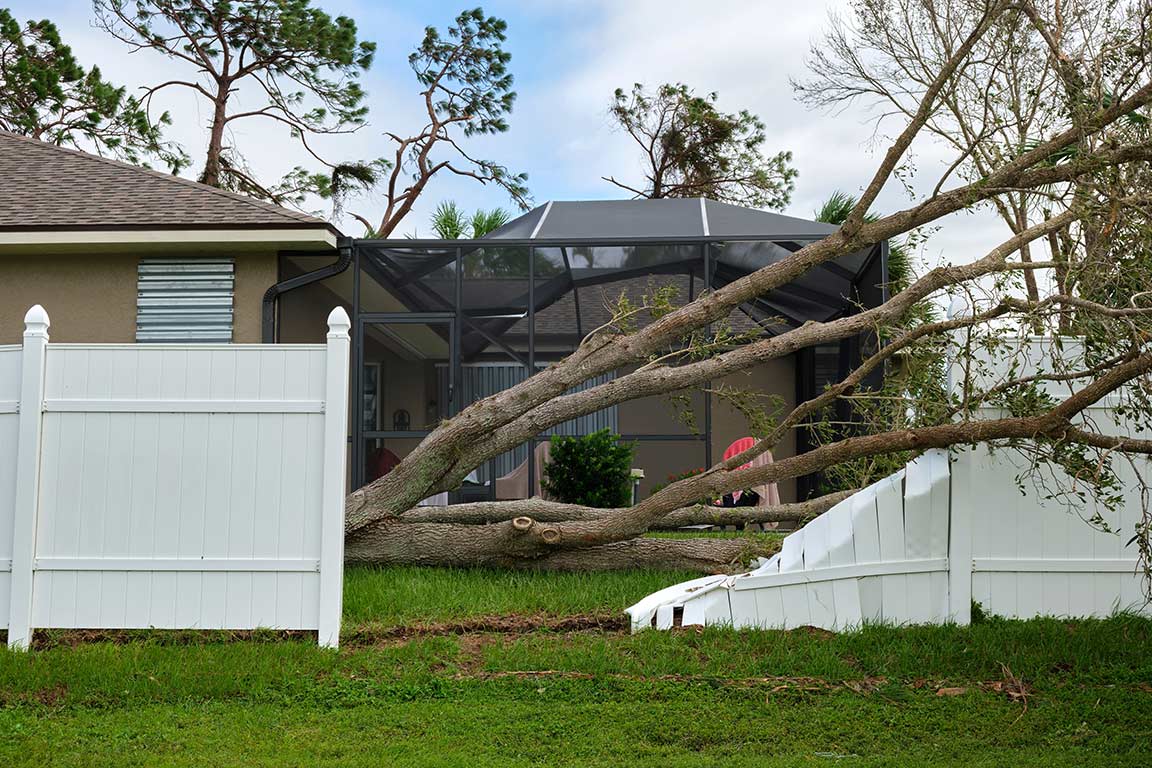 Zaunreparatur, defekter Zaun, Baum auf Zaun gefallen, Versicherungsschaden